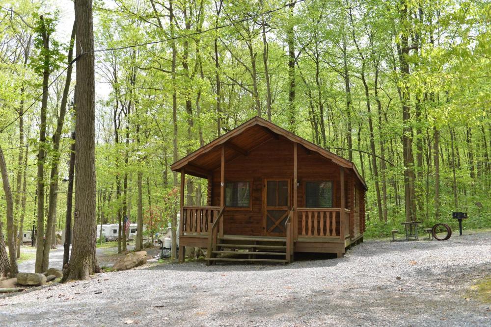 One-Bedroom Deluxe Cottage interior